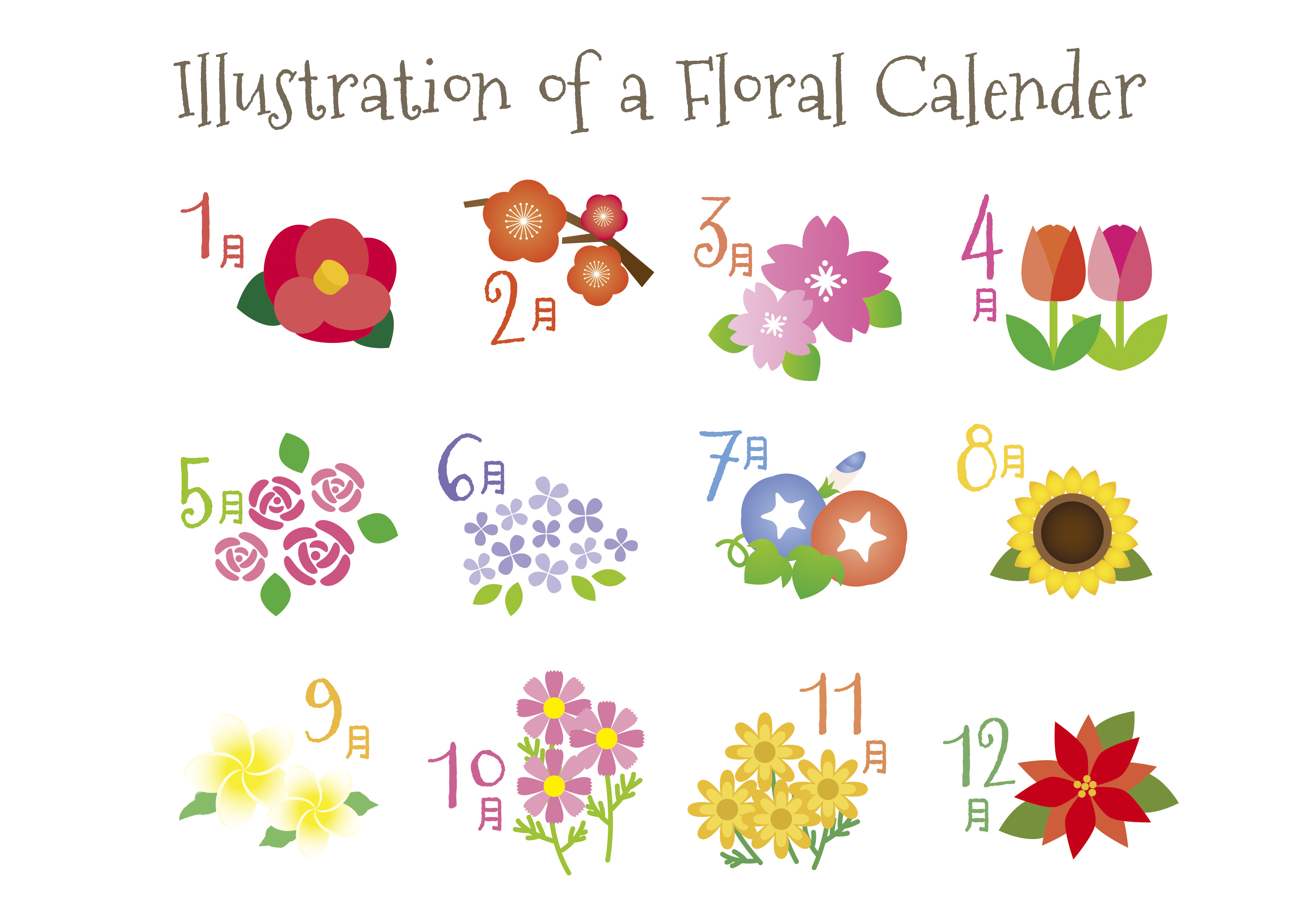 12のお花のカレンダー