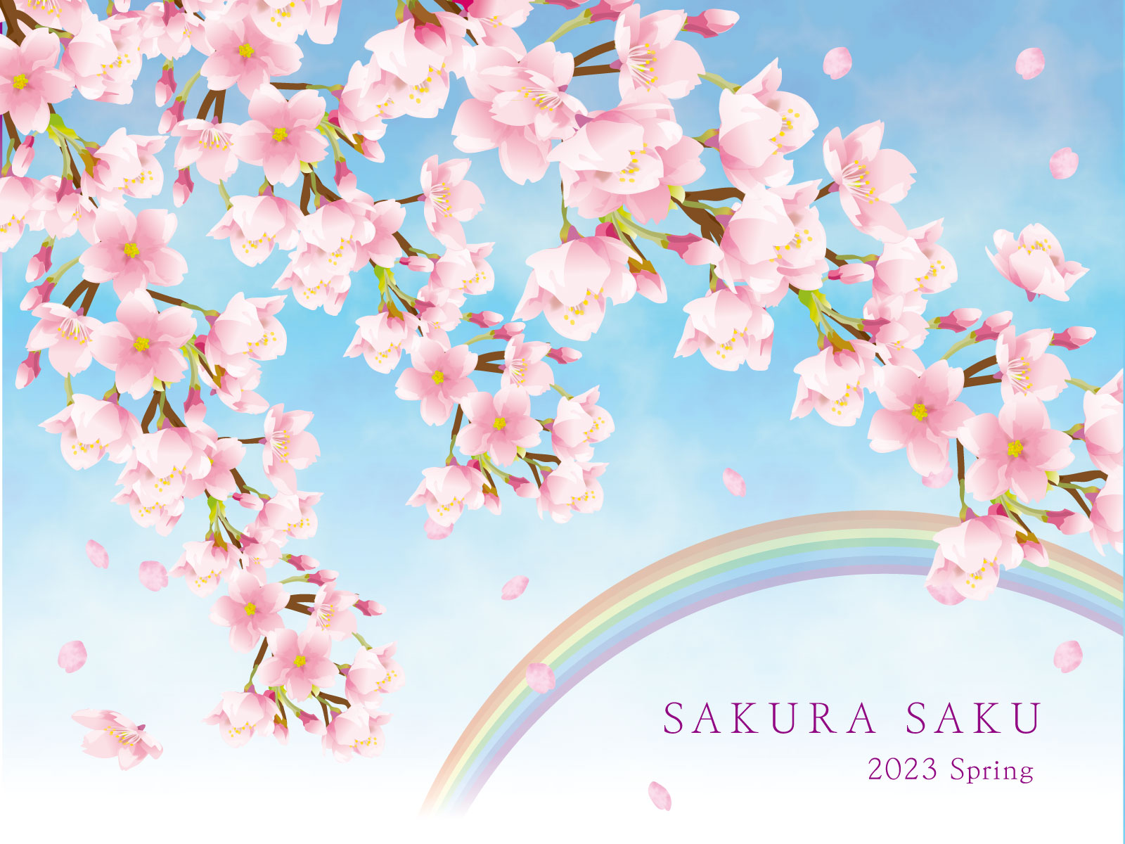 桜と虹の画像