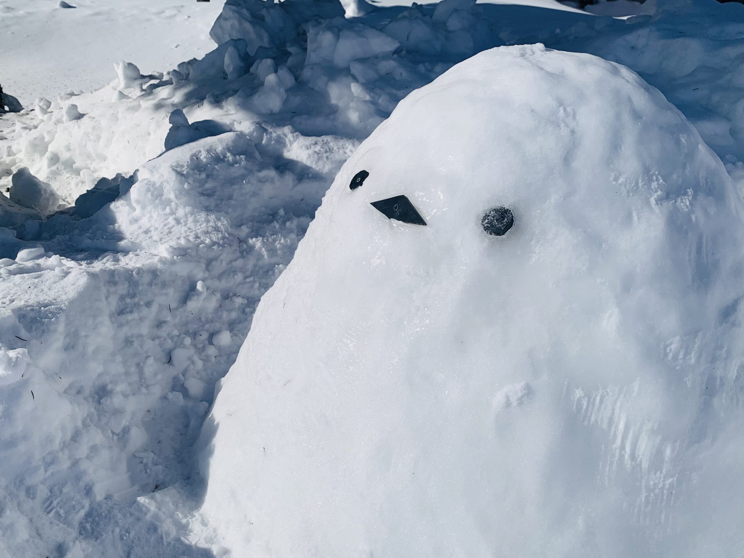 雪のシマエナガ