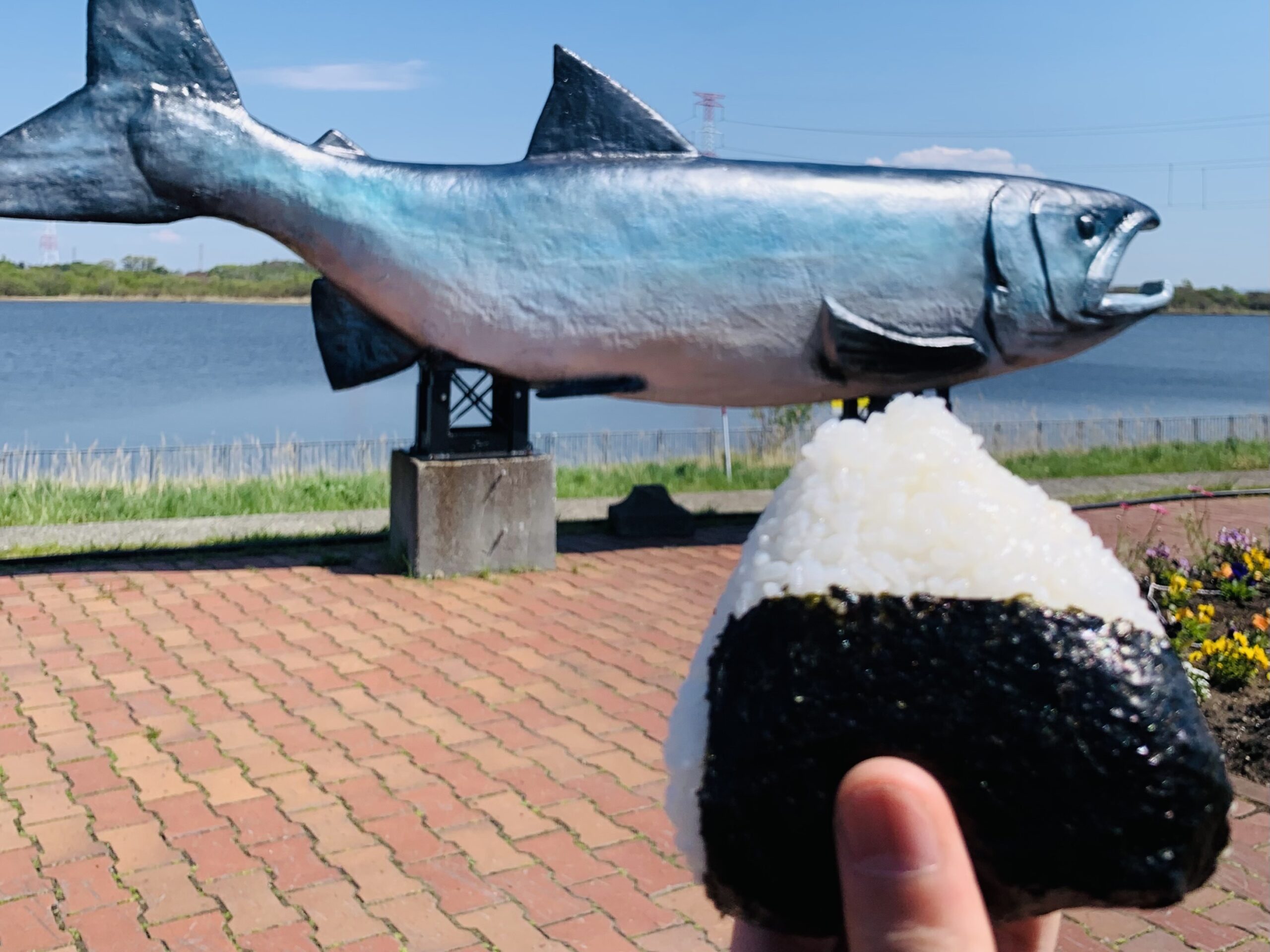 青空と鮭