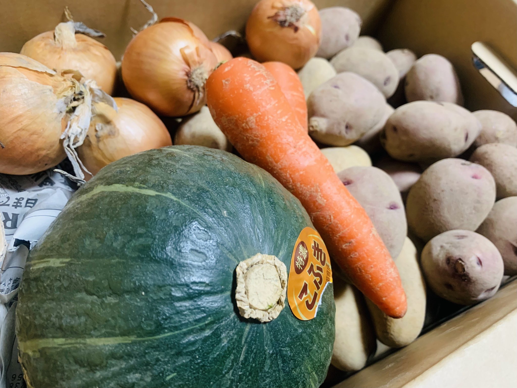 秋の野菜