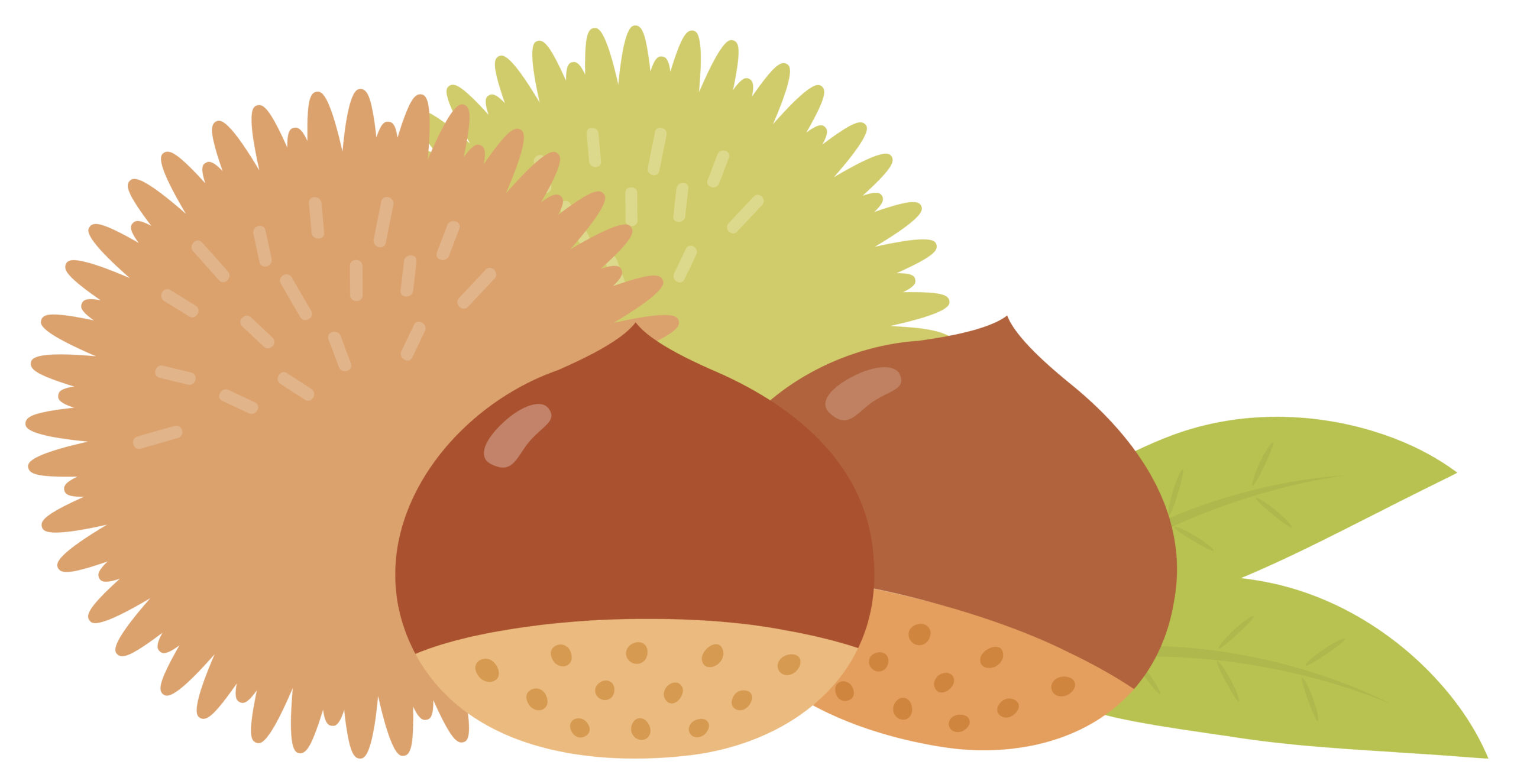 栗イラスト